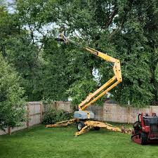 Best Sod Installation  in Fair Plain, MI